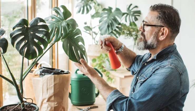 Fertilizzante per le piante