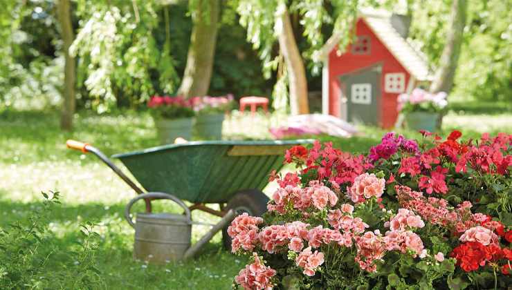 Jardin bien entretenu