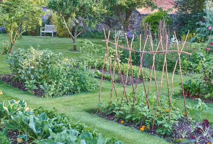 Gemüsegarten und Garten