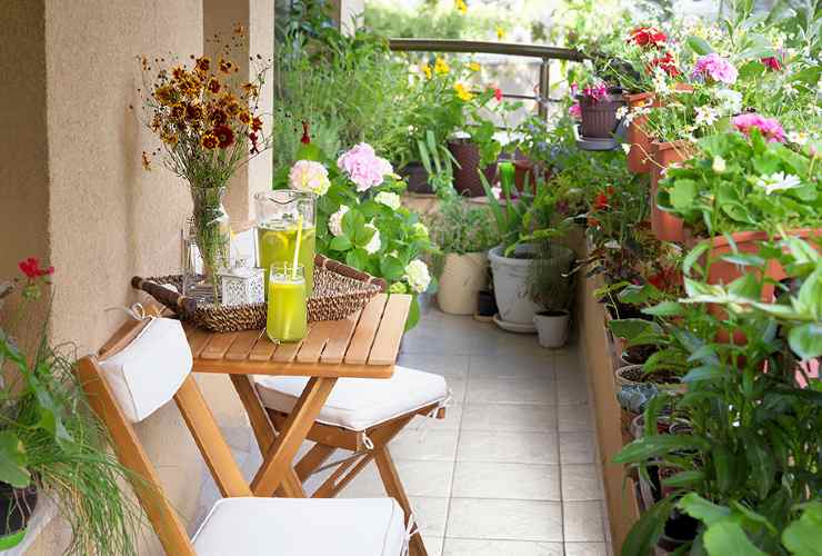 Plantes sur le balcon