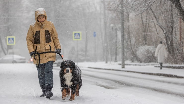 uomo spasso neve