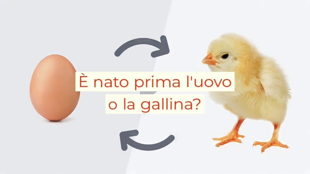 È nato prima l’uovo o la gallina? Ecco finalmente la risposta definitiva
