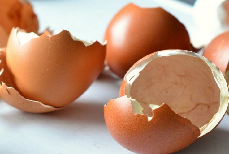 3 vaječné skořápky