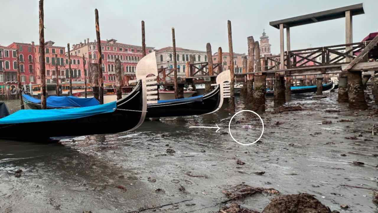 Canal Grande di Venezia