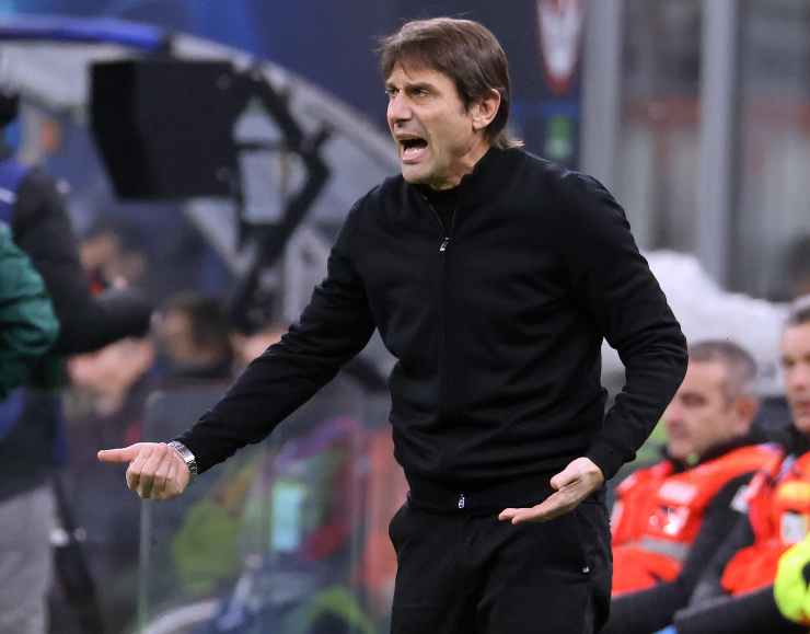 Conte