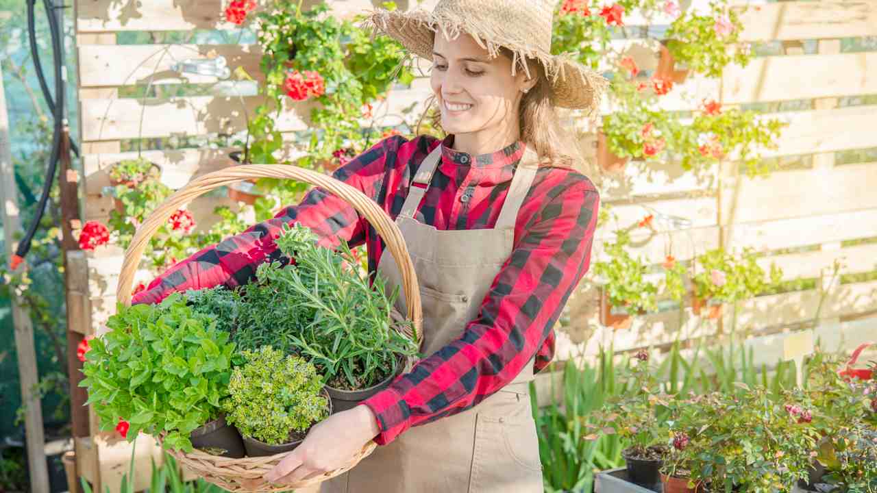 Garden Therapy