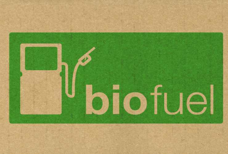 I biocarburanti che si utilizzeranno dopo il 2035