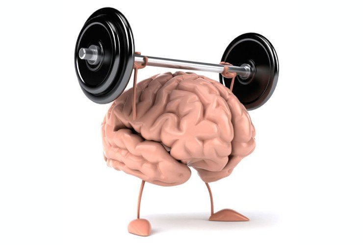 Cervello in allenamento