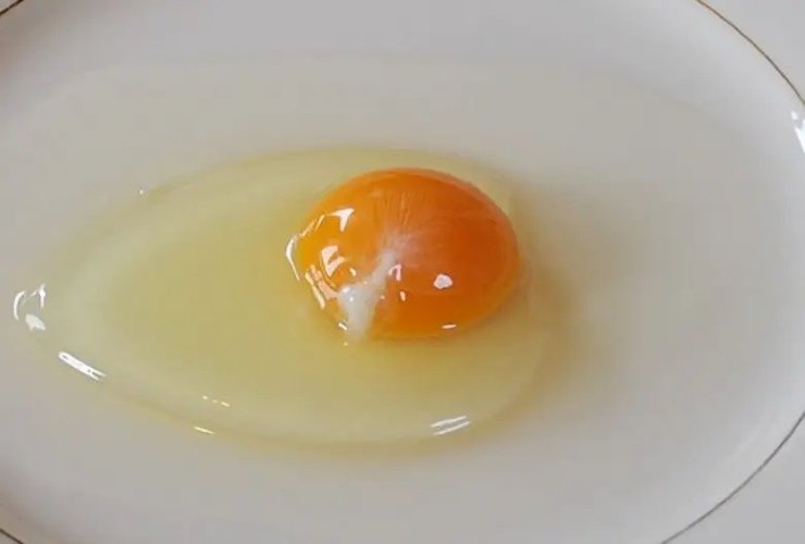 Macchia bianca nell'uovo