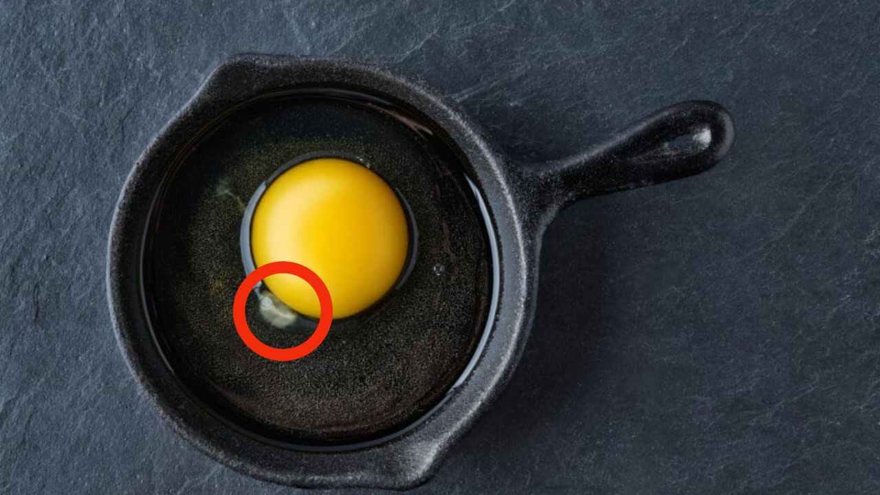 Uovo crudo con macchia