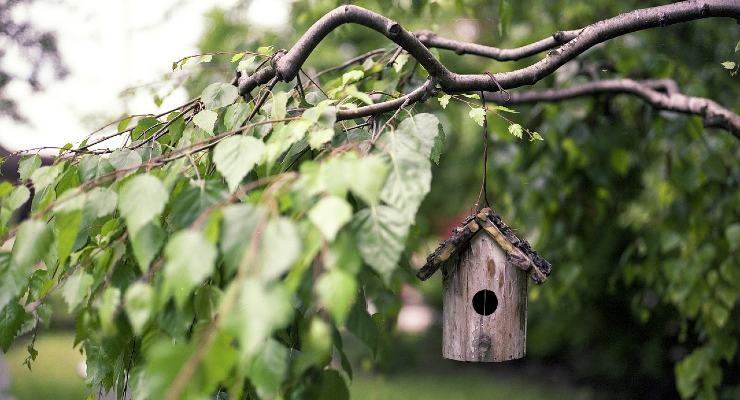 Giardino a confine