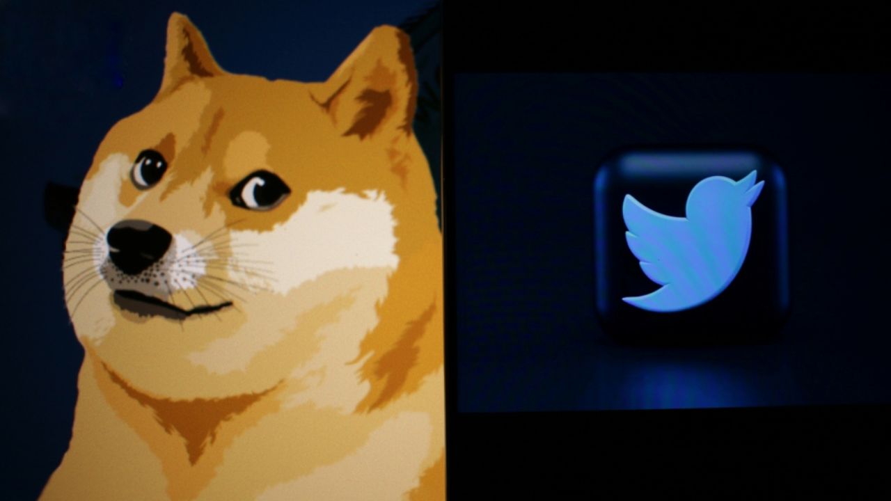 Il logo di Twitter sostituito da un cane