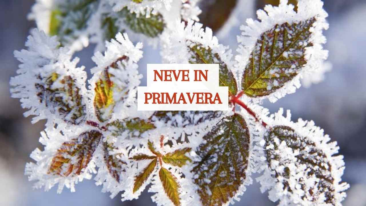 Neve in primavera