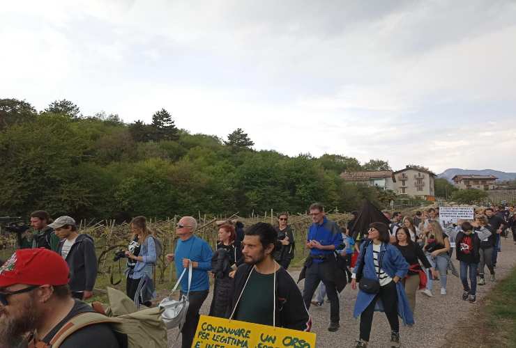 Protesta contro l'abbattimento dell'orsa Jj4