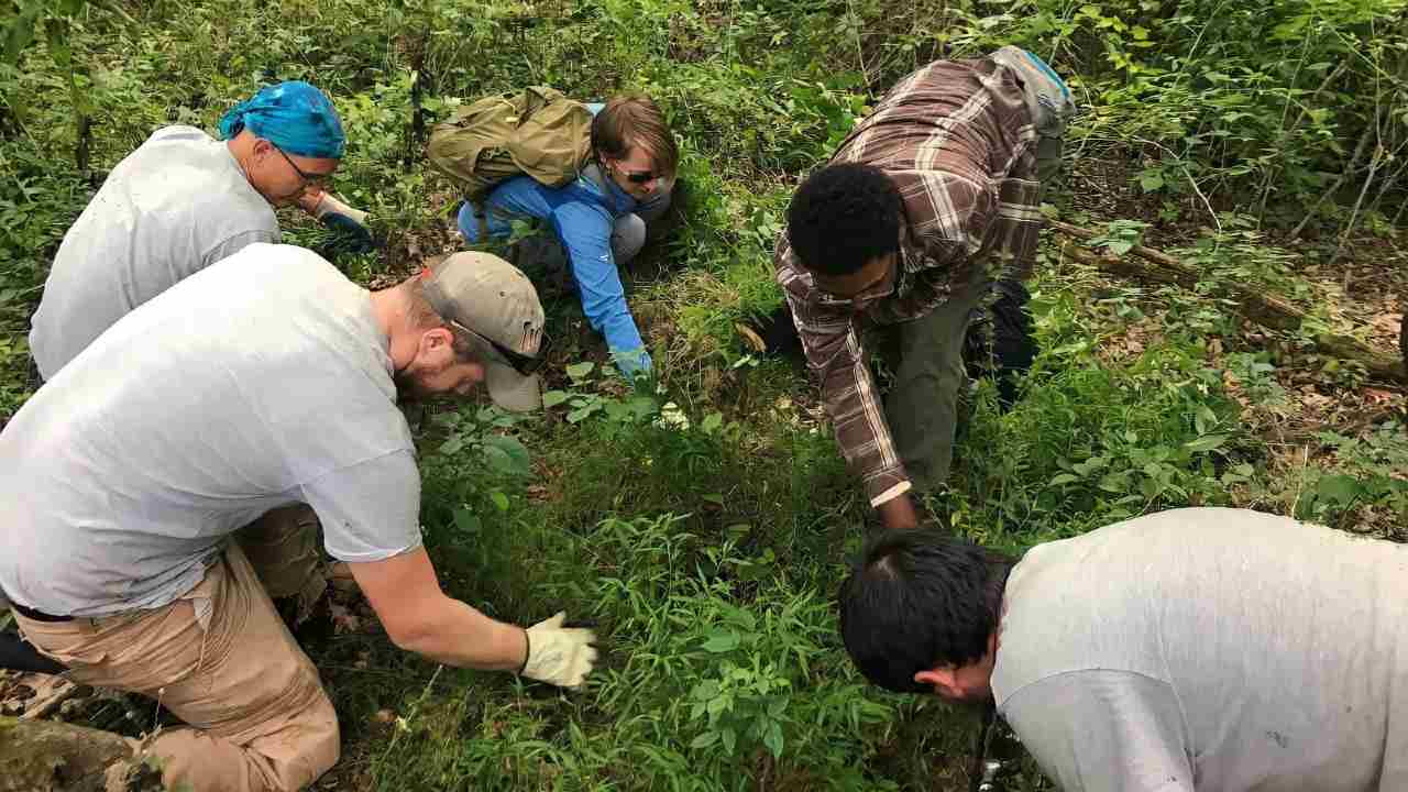 inaspettata scoperta in Italia