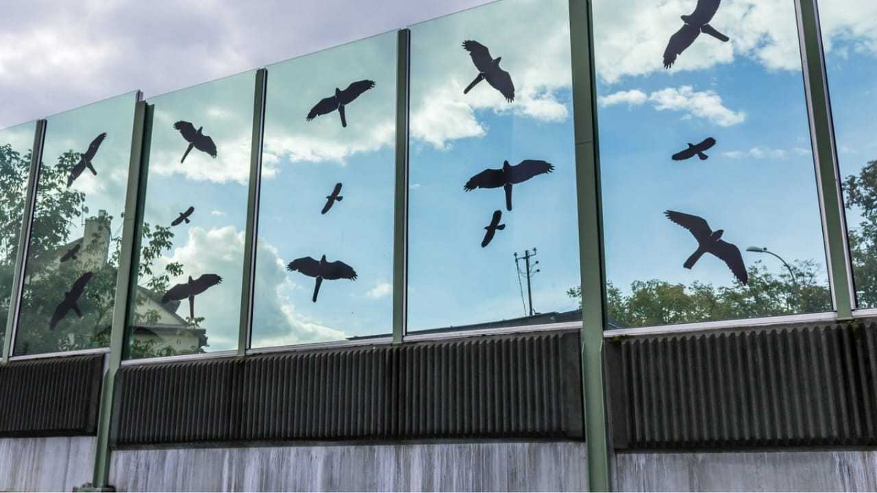 Uccelli sui vetri