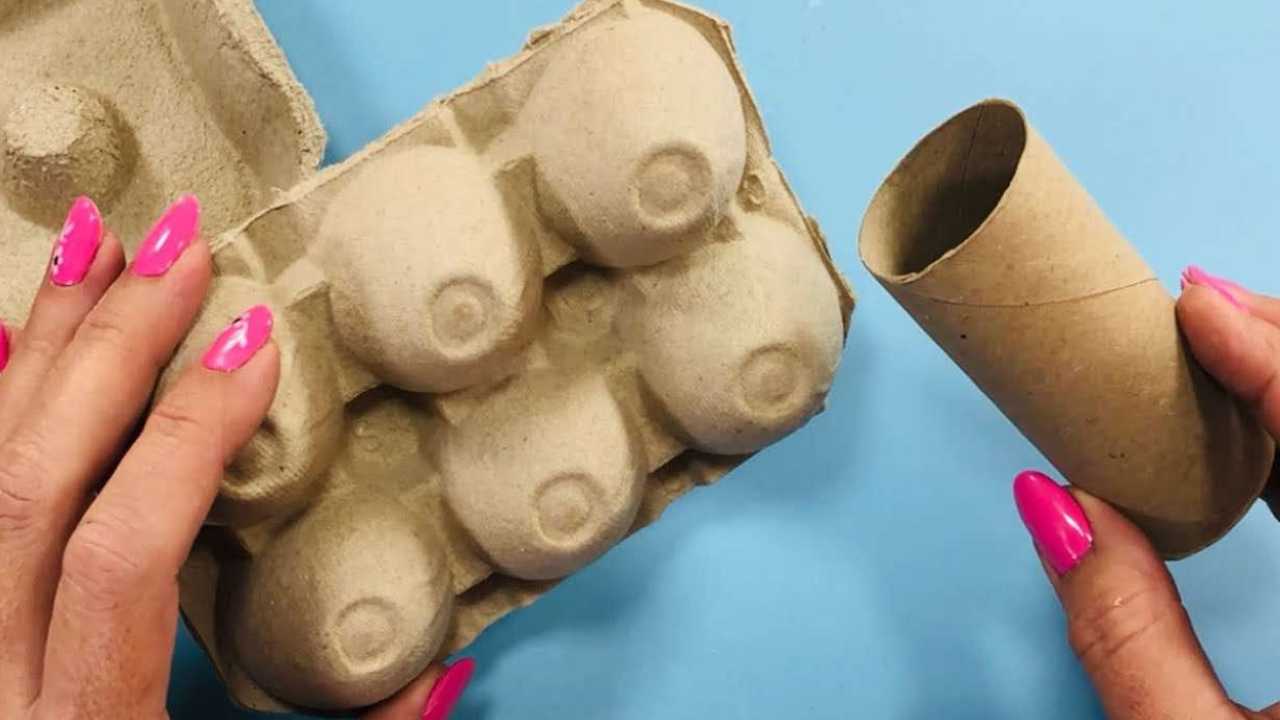 Un cartone di uova e un rotolo di carta igienica per un'incredibile creazione - Nanopress.it Un cartone di uova e un rotolo di carta igienica per un'incredibile creazione