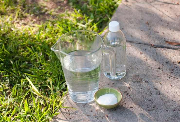 Agua y sal, el método para erradicar las malas hierbas