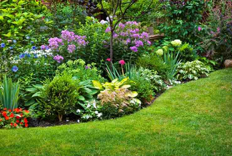 Giardino con piante e fiori