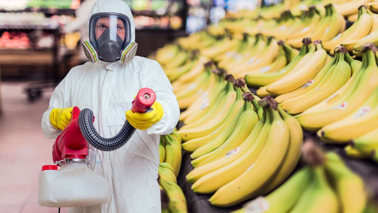 pesticidi banane
