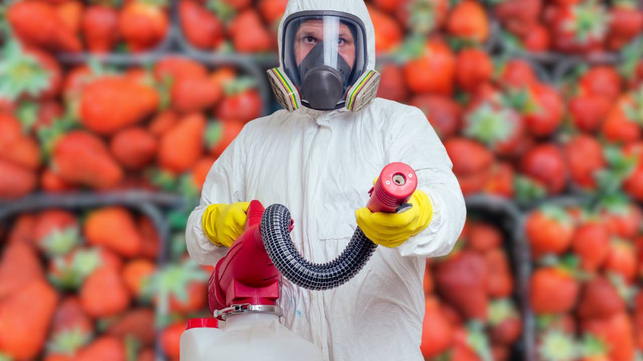 pesticidi fragole