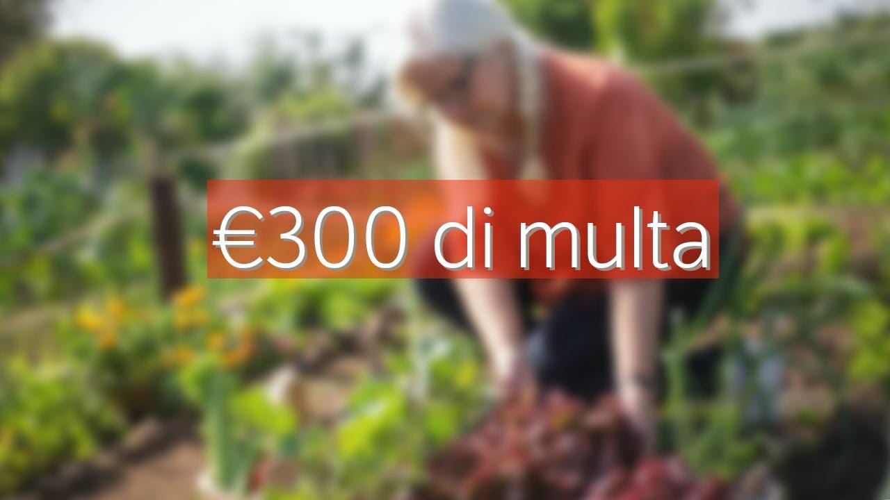 Scattano fino a 300 euro di multa se non controlli il tuo giardino