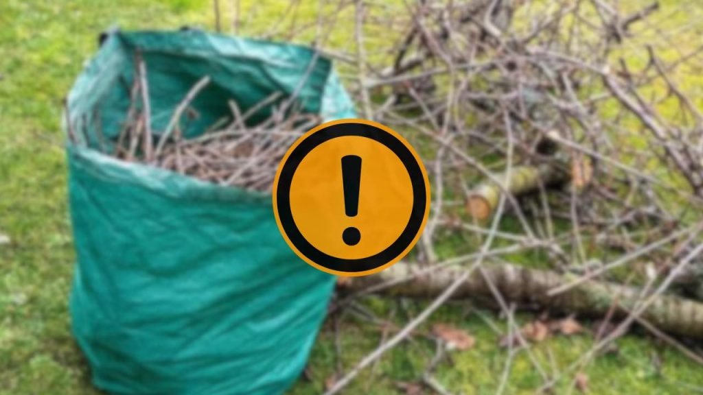 Sai dove si buttano piante e rami secchi del giardino? Rischi 300 euro