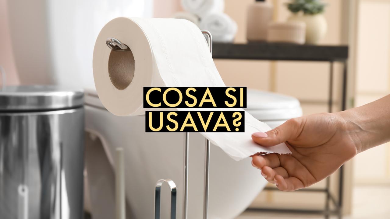 Prima che ci fosse la carta igienica cosa si utilizzava? La risposta ti  spiazzerà