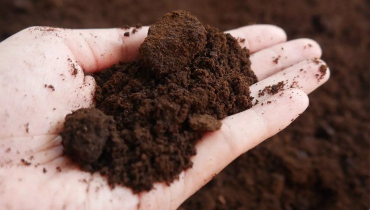 Fondi di caffè sulla mano