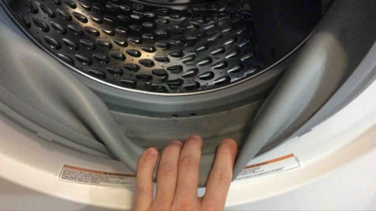 Guarnizione della lavatrice sporca e puzzolente