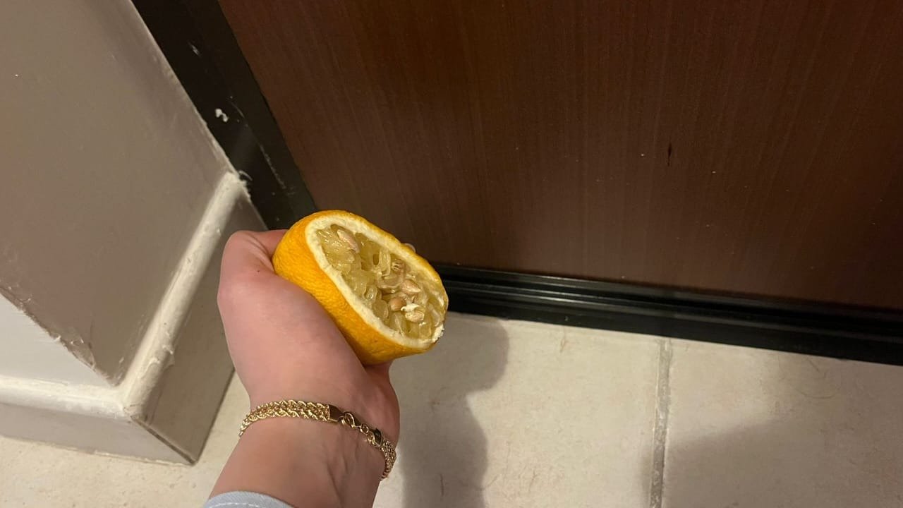 Limone sotto la porta