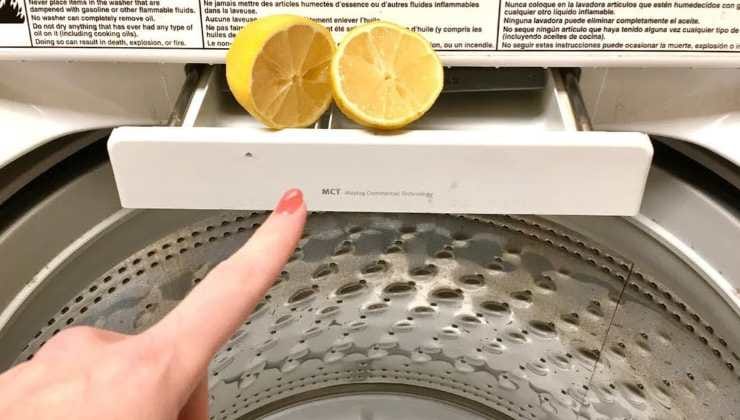 Tecnica dei limoni nella vaschetta della lavatrice