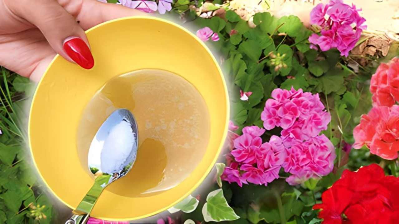 Usa questa potentissima miscela per un giardino perfetto