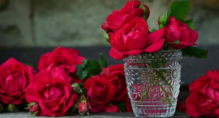 Roses inside a glass
