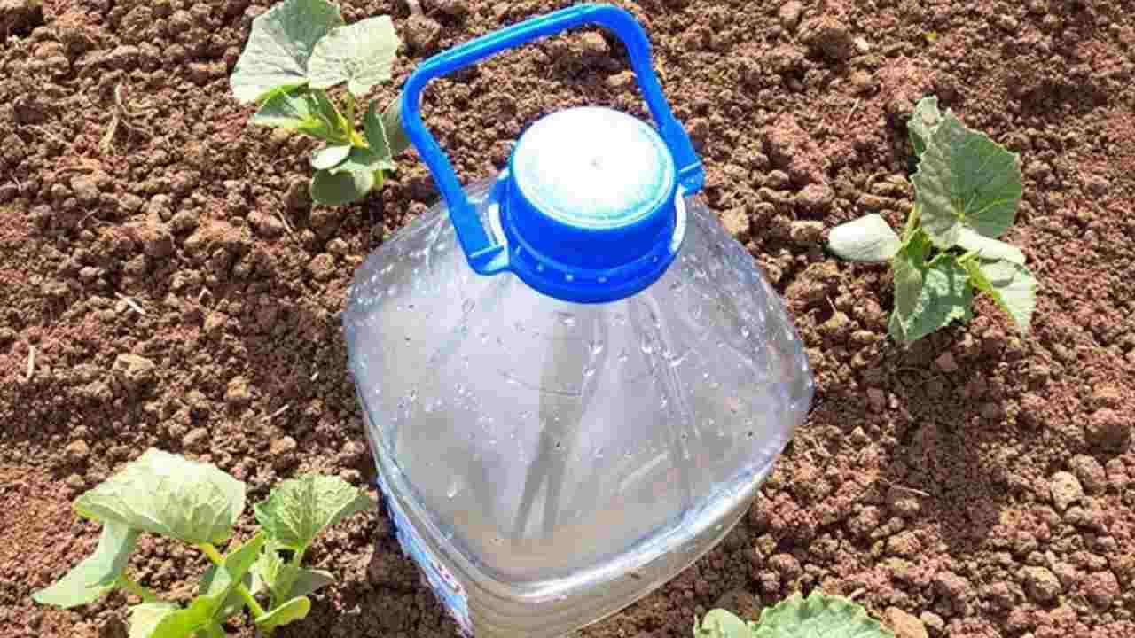 Il sistema più semplice per irrigare le piante