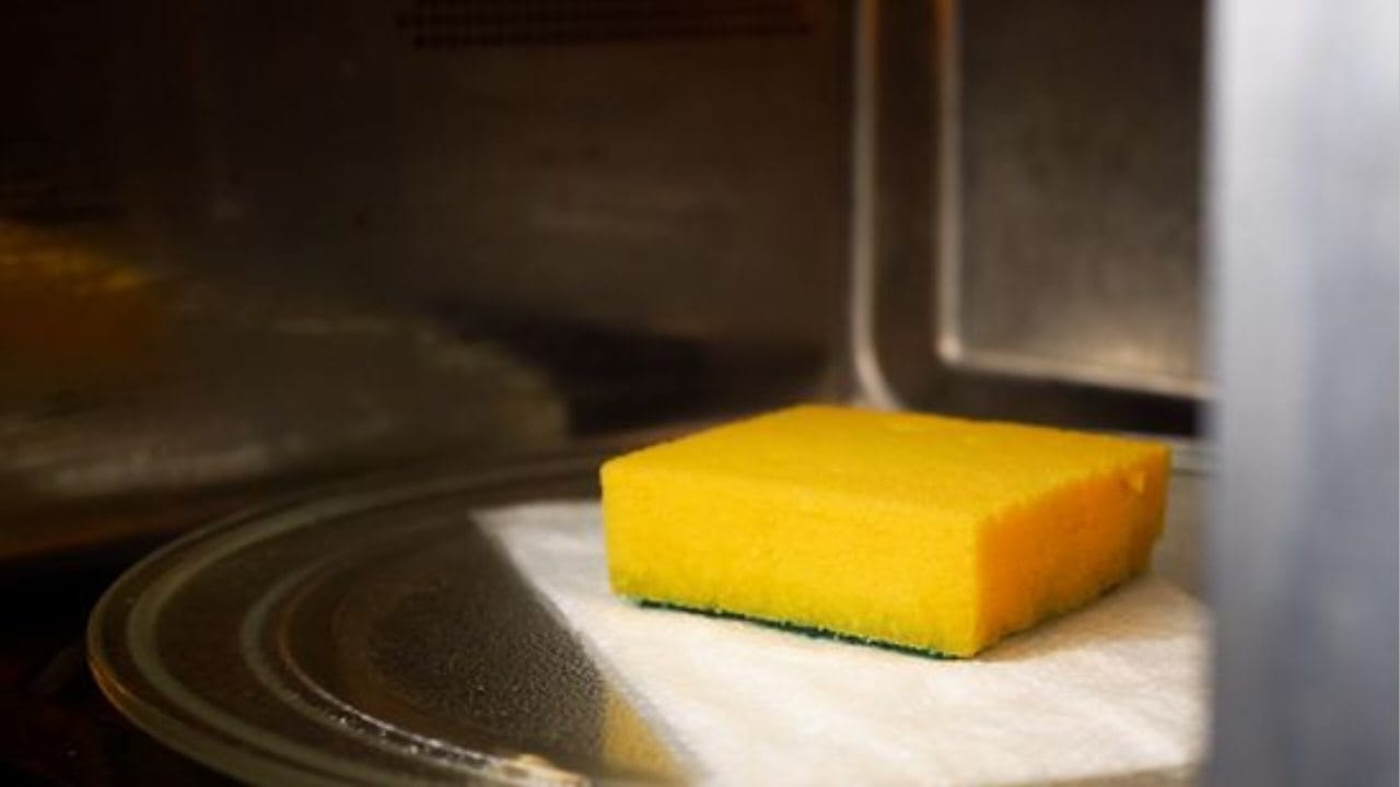 RYELDOM - Piatto Per Microonde Resistente Al Calor (24,5 Sporgenze