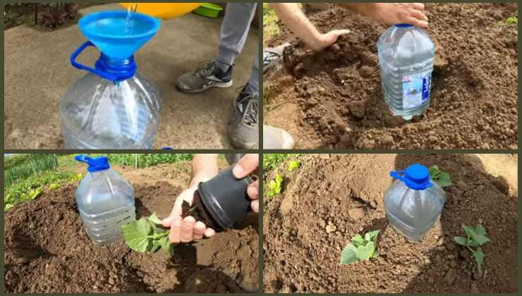 Einfache und praktische Technik zum Gießen von Pflanzen