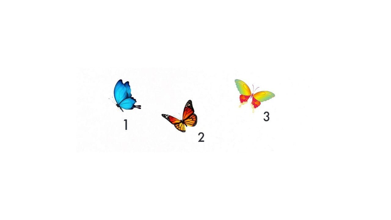 Test psicologico della farfalla