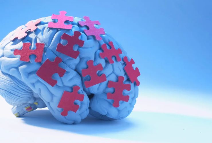 Allenare il cervello Allenare il cervello