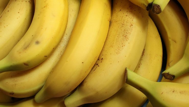 Banana rassoda pelle 