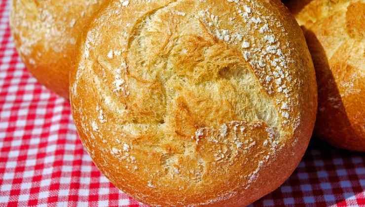 Pan de rosas en el balcón 