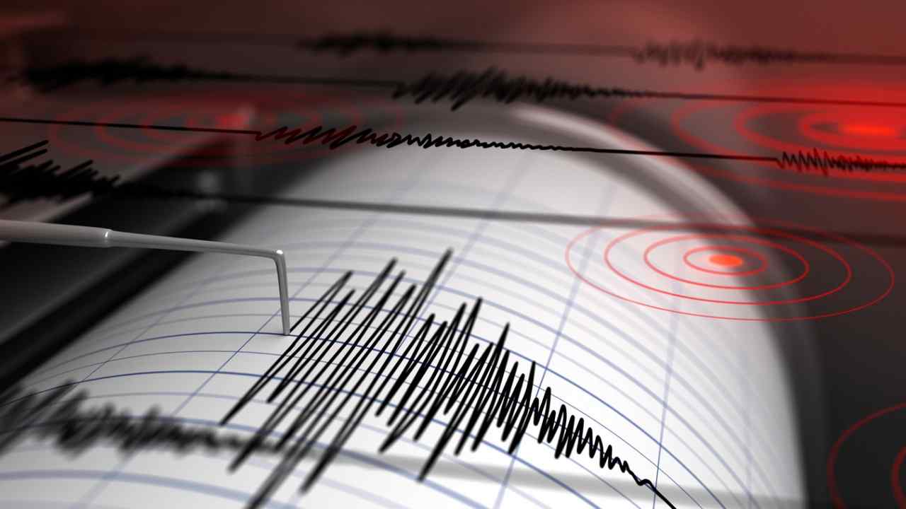 Sismografo che registra un terremoto