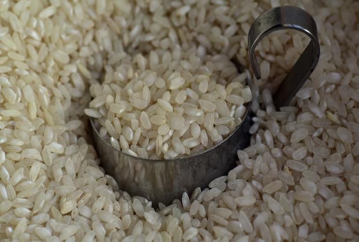 Granos de arroz para fortificar las raíces