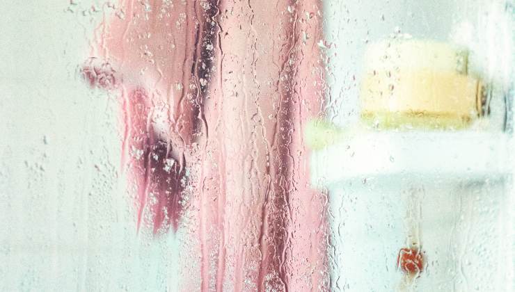 Muffa rosa in bagno: come eliminarla