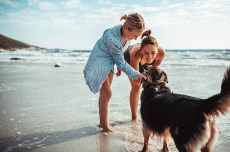 È legale portarsi il cane in spiaggia