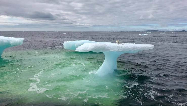 Lo strano avvistamento su un iceberg di tre pescatori 
