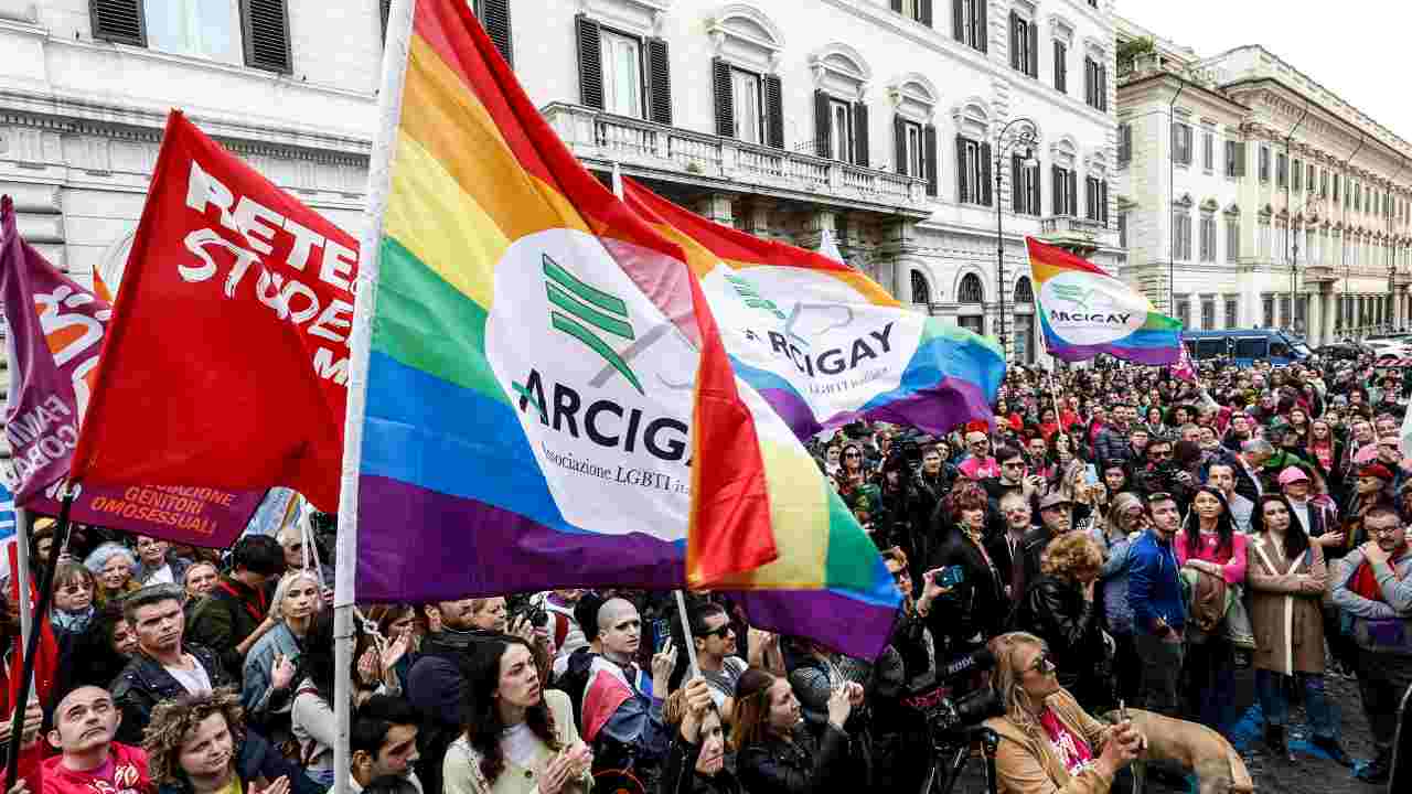 Manifestazione maternità surrogata