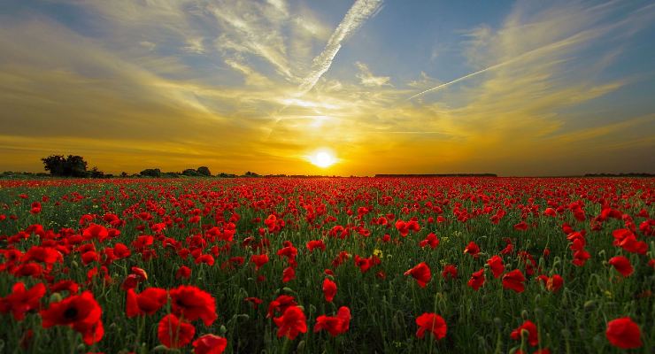 Ondata di calore sull'Italia Ondata di calore sull'Italia