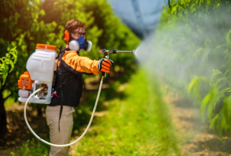 Trattamento piante con pesticidi