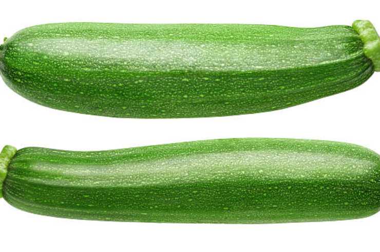 Zucchini